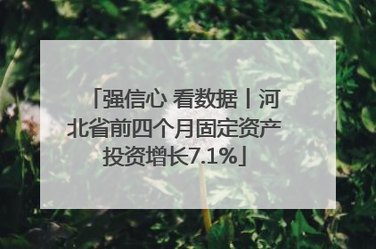 强信心 看数据丨河北省前四个月固定资产投资增长7.1%