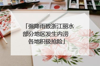 强降雨致浙江丽水部分地区发生内涝 各地积极抢险