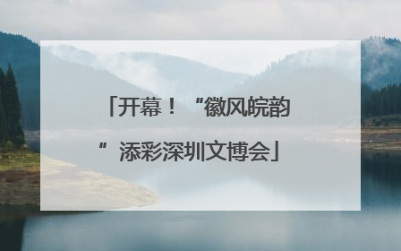 开幕！“徽风皖韵”添彩深圳文博会