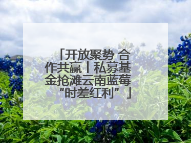 开放聚势 合作共赢丨私募基金抢滩云南蓝莓“时差红利”
