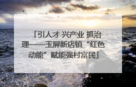 引人才 兴产业 抓治理——玉屏新店镇“红色动能”赋能强村富民
