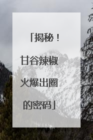 揭秘！甘谷辣椒火爆出圈的密码