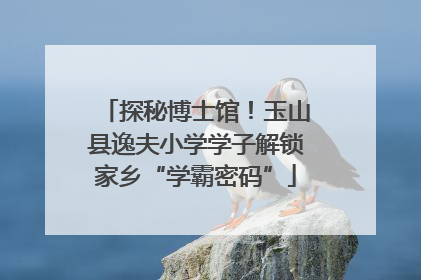 探秘博士馆！玉山县逸夫小学学子解锁家乡“学霸密码”