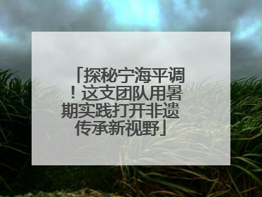 探秘宁海平调！这支团队用暑期实践打开非遗传承新视野