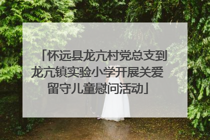 怀远县龙亢村党总支到龙亢镇实验小学开展关爱留守儿童慰问活动