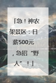 急！神农架景区：日薪500元，急招“野人”！
