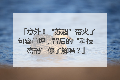 意外！“苏超”带火了句容草坪，背后的“科技密码”你了解吗？