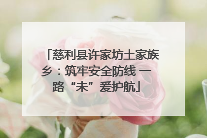 慈利县许家坊土家族乡：筑牢安全防线 一路“未”爱护航