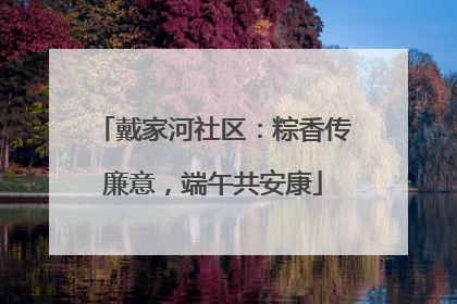 戴家河社区：粽香传廉意，端午共安康