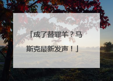 成了替罪羊？马斯克最新发声！