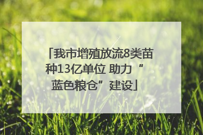 我市增殖放流8类苗种13亿单位 助力“蓝色粮仓”建设