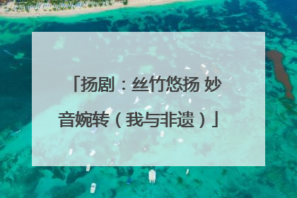 扬剧：丝竹悠扬 妙音婉转（我与非遗）