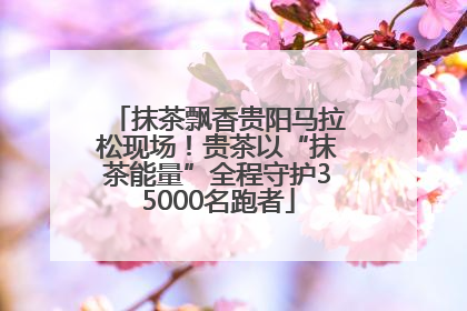 抹茶飘香贵阳马拉松现场！贵茶以“抹茶能量”全程守护35000名跑者