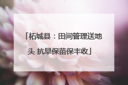 柘城县：田间管理送地头 抗旱保苗保丰收
