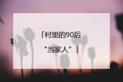 村里的90后“当家人”