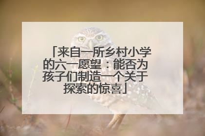 来自一所乡村小学的六一愿望：能否为孩子们制造一个关于探索的惊喜