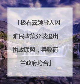 极右翼领导人因难民政策分歧退出执政联盟，导致荷兰政府垮台