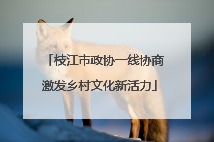 枝江市政协一线协商激发乡村文化新活力