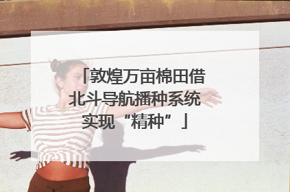 敦煌万亩棉田借北斗导航播种系统实现“精种”