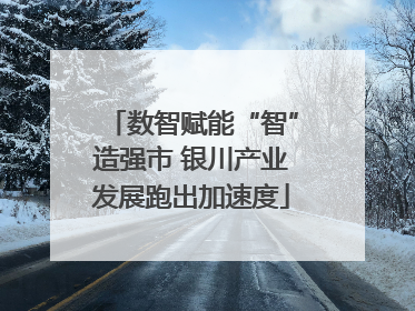 数智赋能“智”造强市 银川产业发展跑出加速度