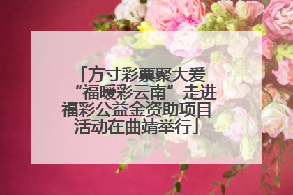 方寸彩票聚大爱 “福暖彩云南”走进福彩公益金资助项目活动在曲靖举行