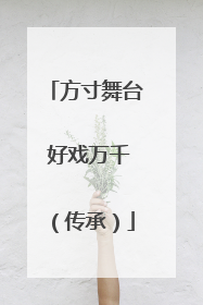 方寸舞台 好戏万千（传承）
