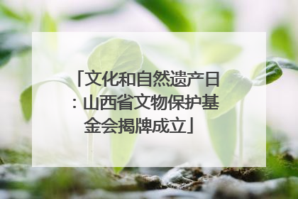 文化和自然遗产日：山西省文物保护基金会揭牌成立