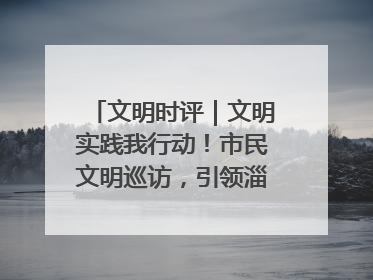文明时评｜文明实践我行动！市民文明巡访，引领淄博全民志愿
