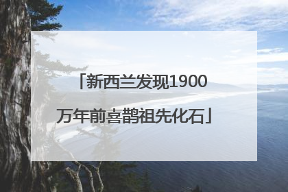 新西兰发现1900万年前喜鹊祖先化石