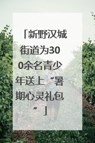 新野汉城街道为300余名青少年送上“暑期心灵礼包”