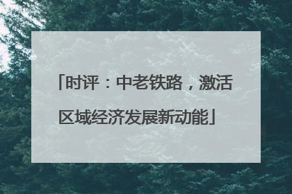 时评：中老铁路，激活区域经济发展新动能