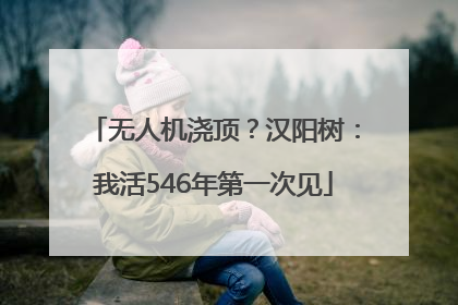 无人机浇顶？汉阳树：我活546年第一次见