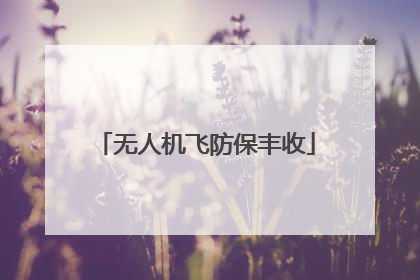 无人机飞防保丰收