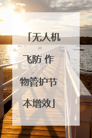 无人机飞防 作物管护节本增效