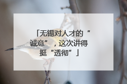无锡对人才的“诚意”，这次讲得挺“透彻”