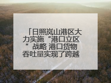 日照岚山港区大力实施“港口立区”战略 港口货物吞吐量实现了跨越式增长
