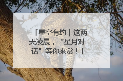 星空有约｜这两天凌晨，“星月对话”等你来赏！