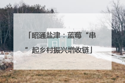 昭通盐津：蓝莓“串”起乡村振兴增收链