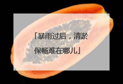 暴雨过后，清淤保畅难在哪儿