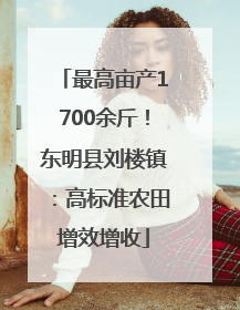最高亩产1700余斤！东明县刘楼镇：高标准农田增效增收