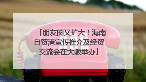 朋友圈又扩大！海南自贸港宣传推介及经贸交流会在大阪举办