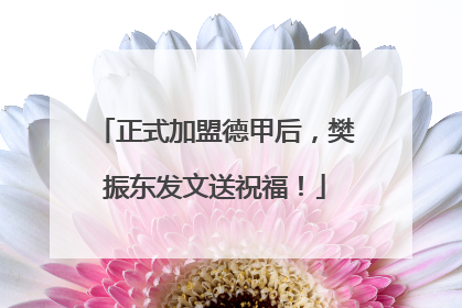 正式加盟德甲后，樊振东发文送祝福！