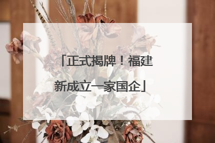 正式揭牌！福建新成立一家国企