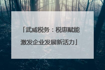 武威税务：税惠赋能 激发企业发展新活力