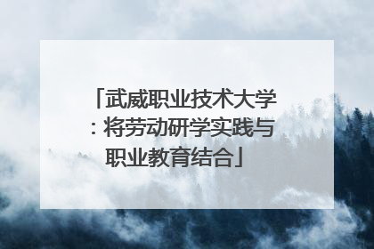武威职业技术大学：将劳动研学实践与职业教育结合