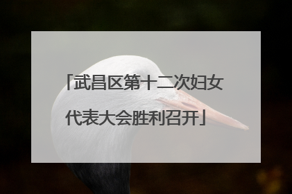 武昌区第十二次妇女代表大会胜利召开