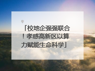 校地企强强联合！孝感高新区以算力赋能生命科学