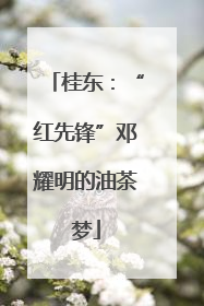 桂东：“红先锋”邓耀明的油茶梦
