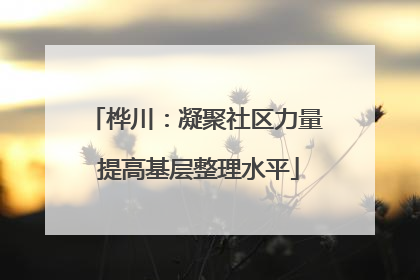 桦川：凝聚社区力量 提高基层整理水平