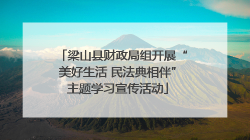 梁山县财政局组开展“美好生活 民法典相伴”主题学习宣传活动